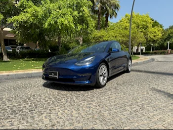 Tesla  Model 3  2023  Automatic  50,000 Km  0 Cylinder  All Wheel Drive (AWD)  Sedan  Blue