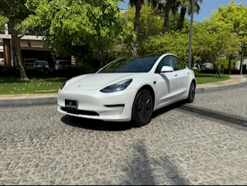 Tesla  Model 3  2023  Automatic  13,000 Km  0 Cylinder  All Wheel Drive (AWD)   White