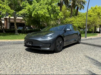 Tesla  Model 3  2022  Automatic  30,000 Km  0 Cylinder  All Wheel Drive (AWD)  Sedan  Gray