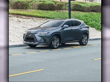 Lexus  NX  350 F Sport  2023  Automatic  30,000 Km  4 Cylinder  Four Wheel Drive (4WD)  SUV  Gray  With Warranty