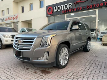 Cadillac  Escalade  Platinum  2018  Automatic  37,000 Km  8 Cylinder  Four Wheel Drive (4WD)  SUV  Gray