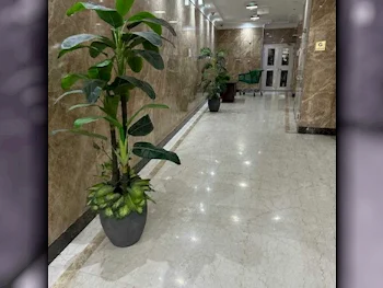 2 Bedrooms  Apartment  For Sale  For Rent  in Doha -  Fereej Bin Mahmoud  Not Furnished