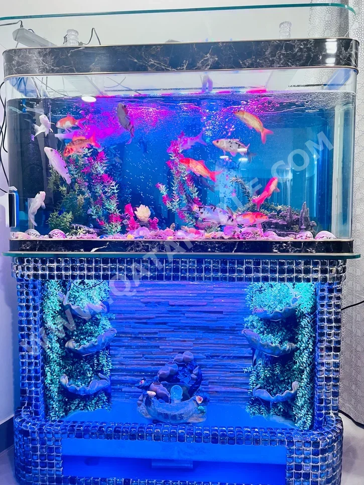Aquariums