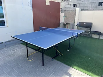 Black and Blue  Tennis (ping pong) Table