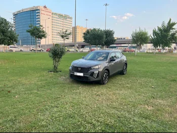 Peugeot  2008  SUV 4x4  Grey  2025