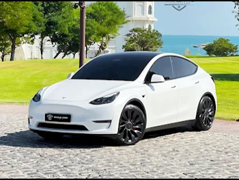 Tesla  Model Y  Performance  2024  Automatic  3,750 Km  0 Cylinder  All Wheel Drive (AWD)  Sedan  White  With Warranty