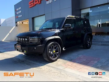 Jetour  T2  4 Cylinder  SUV 4x4  Black  2025