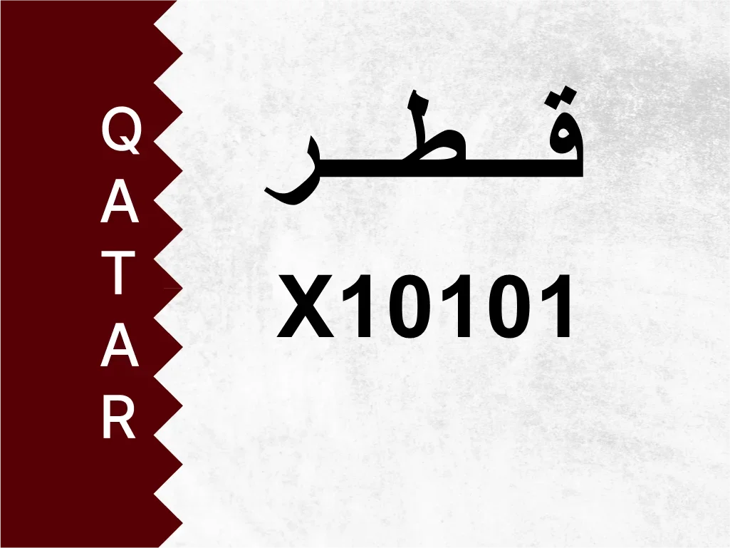 رقم خاص  X10101  رقم مميز