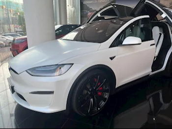 Tesla  Model X  2023  Automatic  4,000 Km  0 Cylinder  All Wheel Drive (AWD)  SUV  White  With Warranty