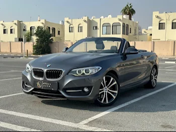 BMW  2-Series  228i  2016  Automatic  65,000 Km  4 Cylinder  Rear Wheel Drive (RWD)  Convertible  Gray