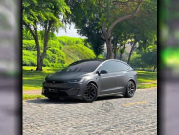Tesla  Model X  2024  Automatic  17,000 Km  0 Cylinder  All Wheel Drive (AWD)  SUV  Gray  With Warranty
