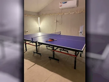 Blue  Tennis (ping pong) Table