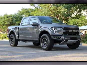 Ford  Raptor  2018  Automatic  83,000 Km  6 Cylinder  Four Wheel Drive (4WD)  Pick Up  Gray