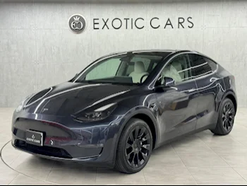 Tesla  Model Y  Long Range  2024  Automatic  10,000 Km  0 Cylinder  All Wheel Drive (AWD)  Hatchback  Gray