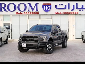 Ford  Raptor  2018  Automatic  173,000 Km  6 Cylinder  Four Wheel Drive (4WD)  Pick Up  Gray