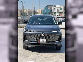 Changan  Uni-S  SUV ( AWD )  Gray Metallic  2025