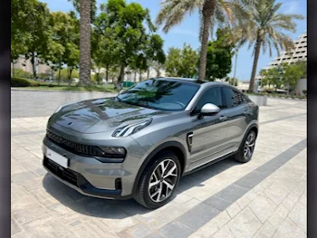 Lynk & Co  O5  SUV 4x4  Grey  2024