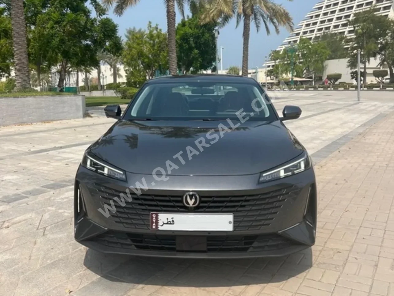 Changan  EADO  Sedan  Grey  2024