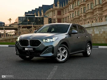 BMW  X2  4 Cylinder  SUV ( AWD )  Grey  2025