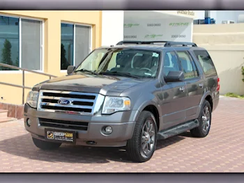 Ford  Expedition  2013  Automatic  96,000 Km  8 Cylinder  Four Wheel Drive (4WD)  SUV  Gray