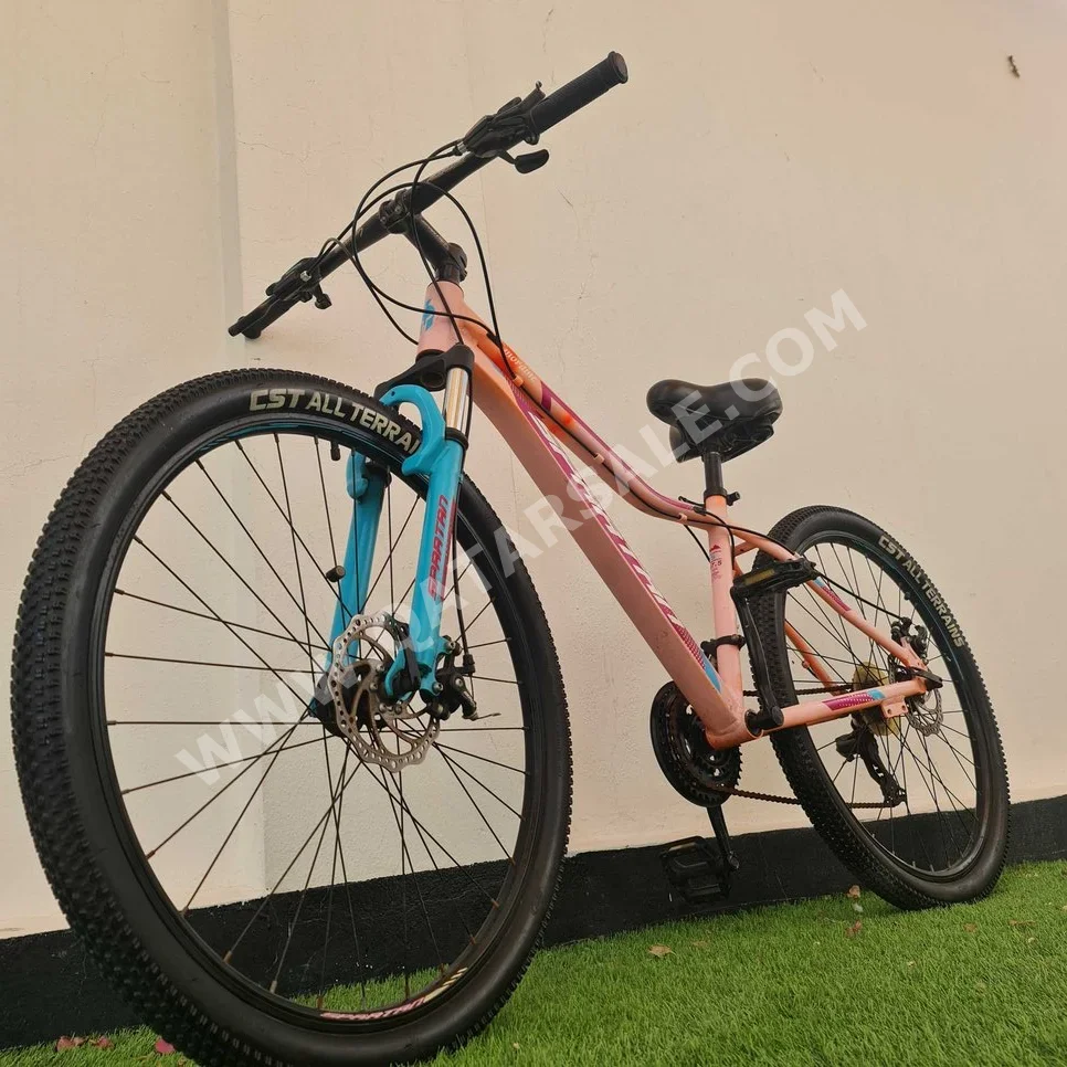 Mountain Bicycle  - Pink