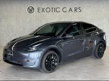 Tesla  Model Y  Long Range  2023  Automatic  11,000 Km  0 Cylinder  All Wheel Drive (AWD)  Sedan  Gray