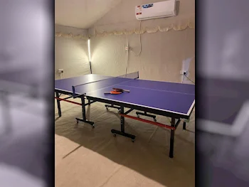 Black and Blue  Tennis (ping pong) Table