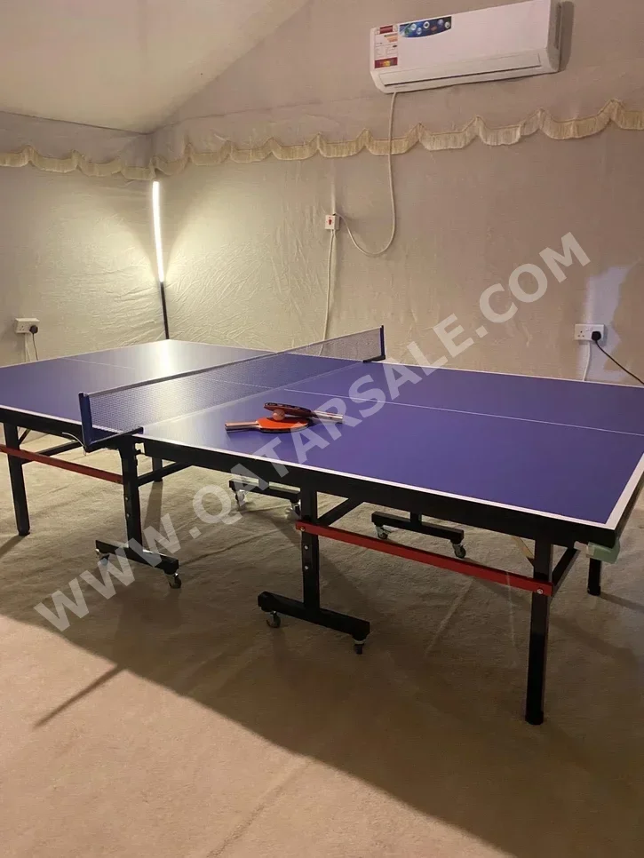 Black and Blue  Tennis (ping pong) Table