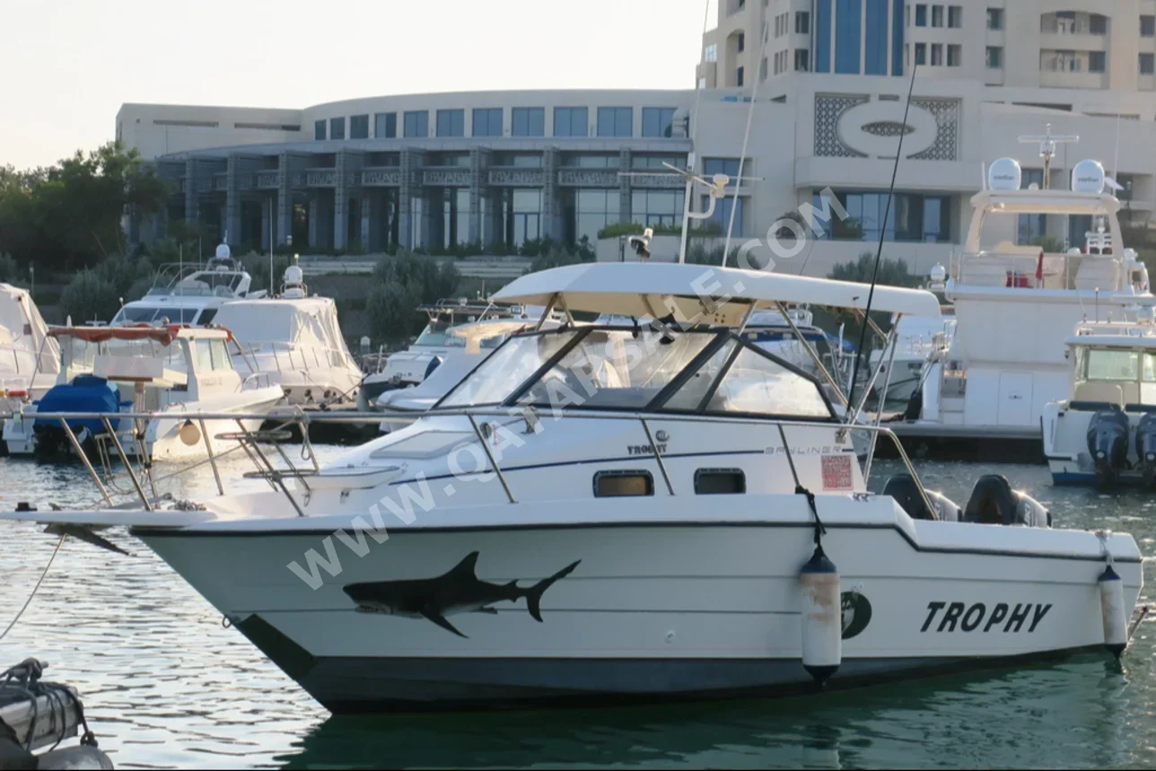 Fishing & Sail Boats - Bayliner  - USA  - 1999  - White