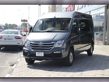 Maxus  V80  2019  Manual  250,000 Km  4 Cylinder  Front Wheel Drive (FWD)  Van / Bus  Gray