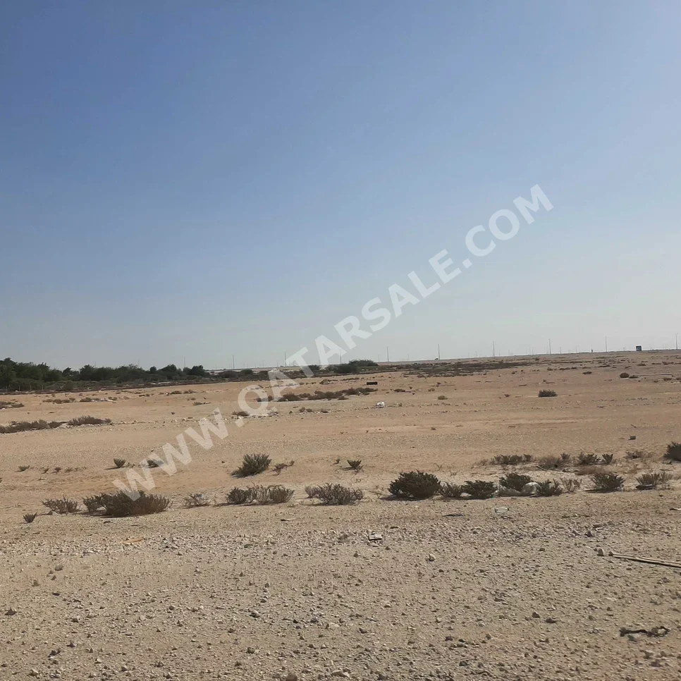 Lands For Sale in Al Wakrah  - Barkit Al Awamer  -Area Size 21,000 Square Meter