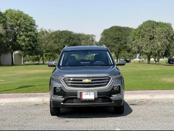 Chevrolet  Captiva LS  SUV ( AWD )  Grey  2024