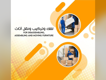 Furniture Move and Installation