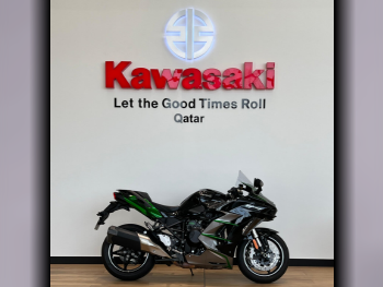 Kawasaki  H2 SX SE -  2024 - Color Green -  Warranty