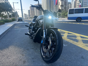 Harley Davidson  V-Rod -  2016 - Color Dark Gray