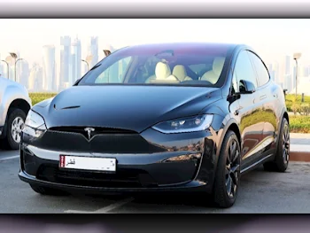  Tesla  Model X  Plaid  2024  Automatic  23,950 Km  0 Cylinder  All Wheel Drive (AWD)  SUV  Carpathian grey  With Warranty