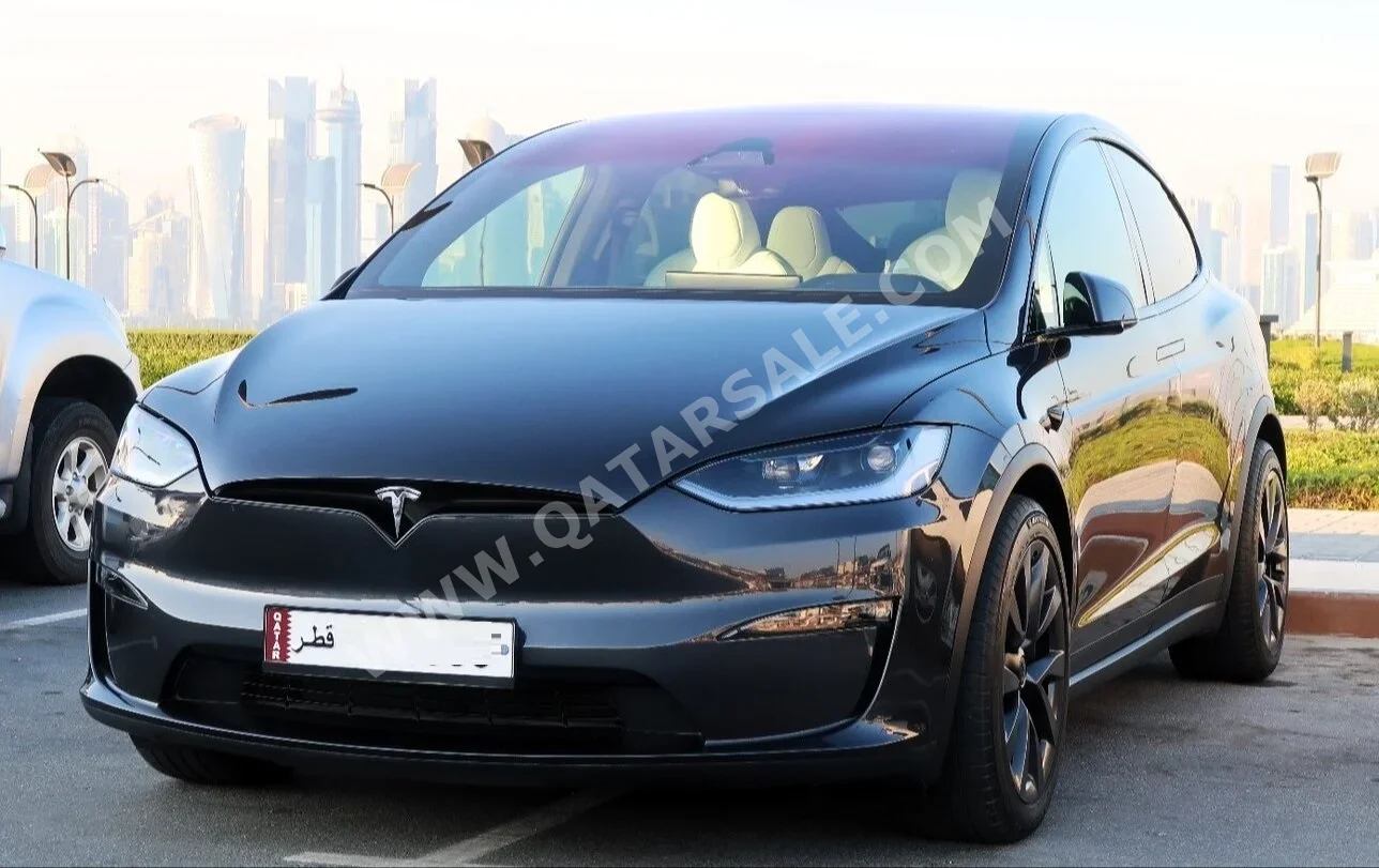  Tesla  Model X  Plaid  2024  Automatic  23,950 Km  0 Cylinder  All Wheel Drive (AWD)  SUV  Carpathian grey  With Warranty