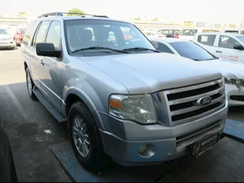 Ford  Expedition  2014  Automatic  192,000 Km  8 Cylinder  Four Wheel Drive (4WD)  SUV  Silver