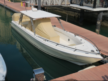 Fishing & Sail Boats - Doha Craft  - Qatar  - 2020  - White