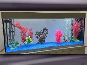 Aquariums - White  With Motor  121 CM  41 CM  55 CM