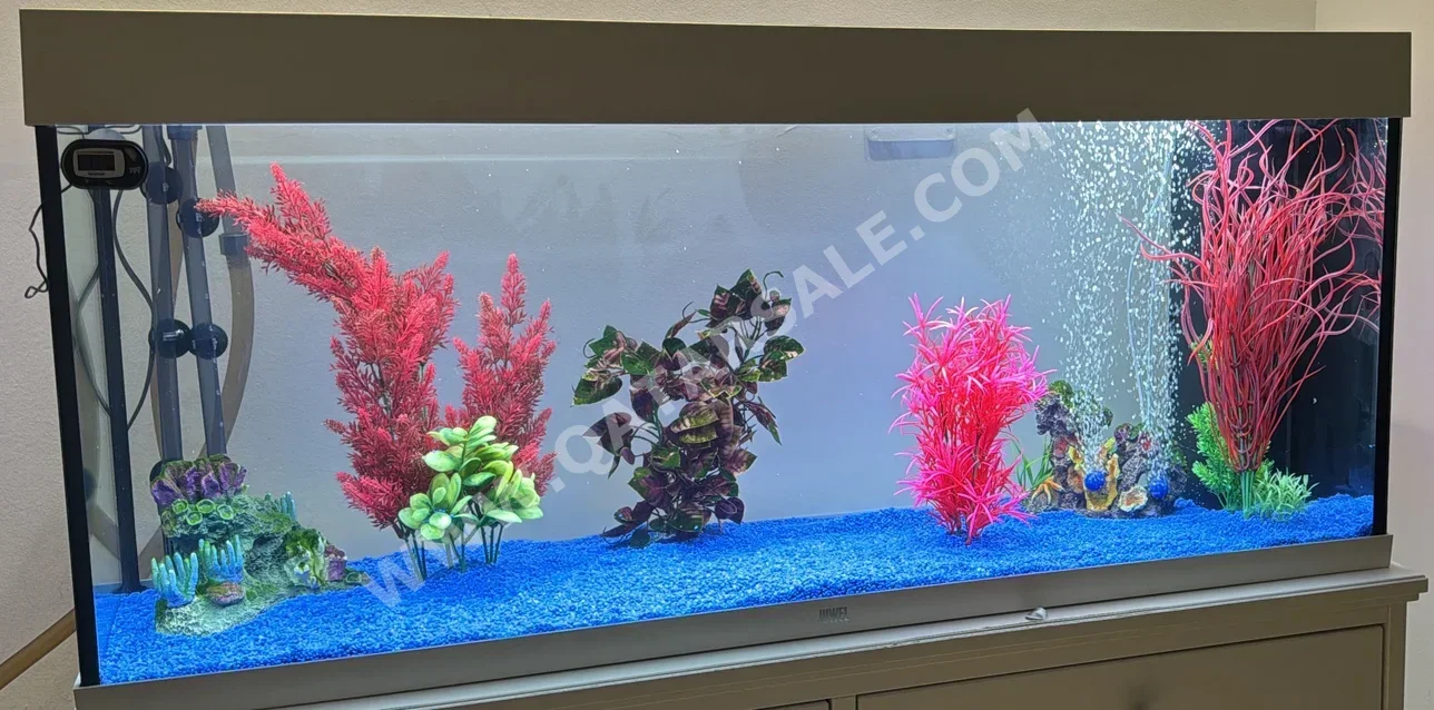 Aquariums - White  With Motor  121 CM  41 CM  55 CM