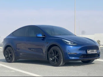 Tesla  Model Y  2024  Automatic  7,900 Km  0 Cylinder  All Wheel Drive (AWD)  SUV  Blue  With Warranty