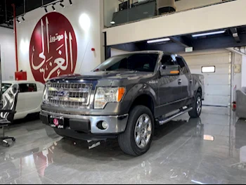 Ford  F  150  2013  Automatic  305,000 Km  8 Cylinder  Four Wheel Drive (4WD)  Pick Up  Gray