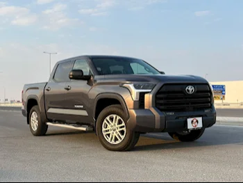 Toyota  Tundra  2023  Automatic  230 Km  8 Cylinder  Four Wheel Drive (4WD)  Pick Up  Gray