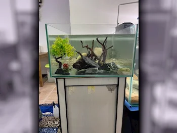 Aquariums - White  70 CM  50 CM  30 CM