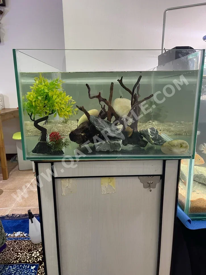 Aquariums - White  70 CM  50 CM  30 CM