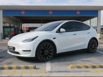  Tesla  Model Y  Performance  2023  Automatic  29,000 Km  0 Cylinder  All Wheel Drive (AWD)  Sedan  White  With Warranty