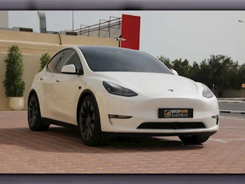 Tesla  Model Y  Performance  2023  Automatic  65,000 Km  0 Cylinder  All Wheel Drive (AWD)  Sedan  White  With Warranty