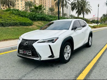 Lexus  UX 200  4 Cylinder  Hatchback  White  2024