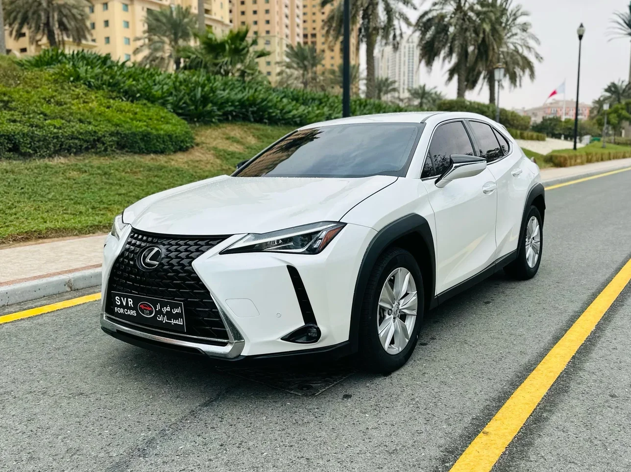 Lexus  UX 200  4 Cylinder  Hatchback  White  2024